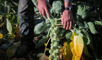 Growing opportunities to supply Scotland’s public sector 