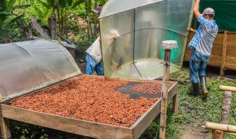 Nottingham based chocolatier teams up with Colombian growers to make innovative chocola