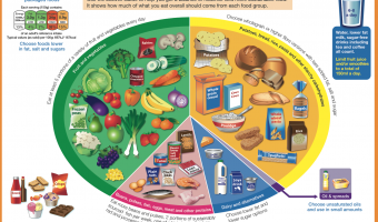 Eatwell Guide fruit vegetables 5-a-day