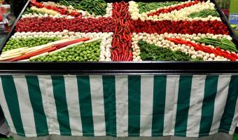 UK announced as partner country for IFE 2017