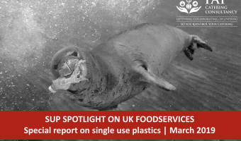 single-use plastic foodservice