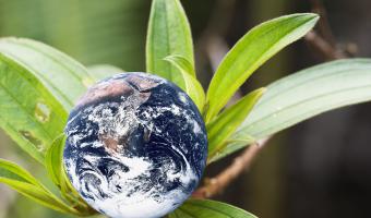 Is the Eat-Lancet report a blueprint for a better future? 