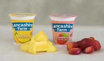 Dairy Company’s free-range programme yields ‘success’ 