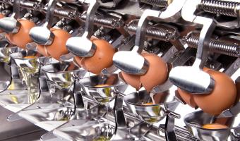 British Lion warns against oversimplifying egg products