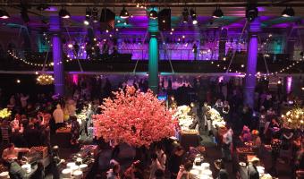 Seasoned caters for vegan event 