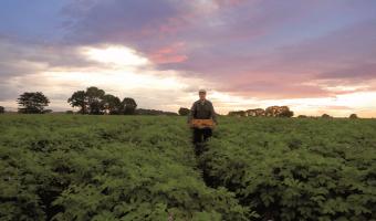 McCain Foods encourages customers to Meet the Farmers