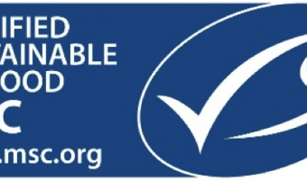 Chippies give sustainability lessons to school children