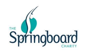 Springboard charity auction ends Friday