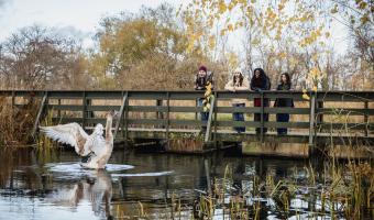 WWT London Wetland Centre names Elior UK as catering partner