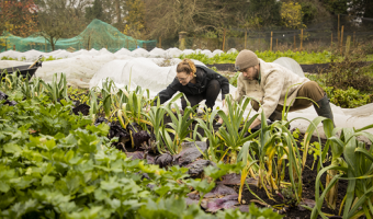 Sodexo UK & Ireland gives suppliers net zero progress deadline 