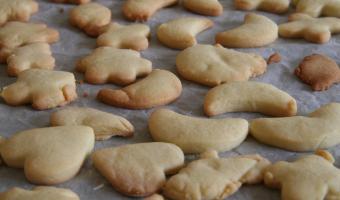 national biscuit day care homes