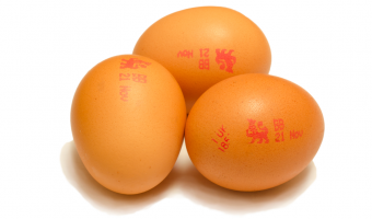british lion eggs standards update salmonella