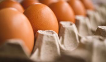 British Egg Industry Council issues urgent warning to UK food businesses 