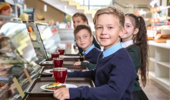 Lynx Purchasing warns ‘decimated’ independent schools must control food costs 