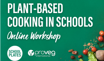 proveg uk school plates plant-based caterers online workshop 