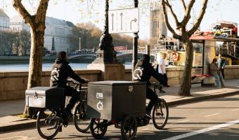 delphis eco quiver emissionless delivery
