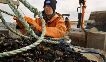 marine stewardship council sustainable seafood week september 10-17