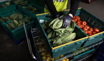 Government creates £13.6m grant to help redistribute surplus farm produce 