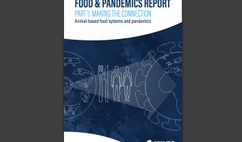 proveg report food pandemic animal farming