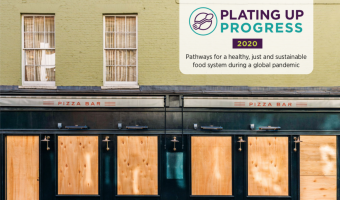 food foundation plating up progress report 2020