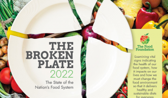 Broken Plate Report