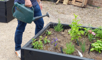 NHS Trust’s secret garden 