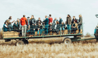 Love British Food launches new farm visit film to ‘inspire’ NHS catering teams  