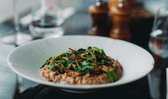 Caterer Searcys explores more climate-conscious approaches to cuisine