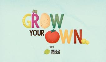 HelloFresh says growing own fruit & veg can lead to 95% less waste 