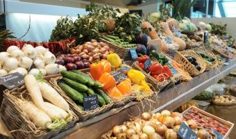 COP30 Diets Toolkit helps Governments introduce plant-forward policies 