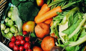 Food Sense Wales gets organic vegetables into primary school meals 