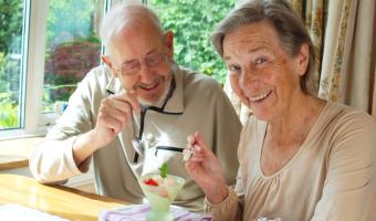 VfL survey finds plant-based diets on rise in UK care homes 