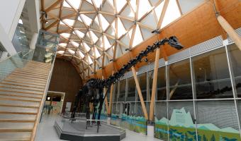 Events caterer Amadeus secures three-year contract with Midlands art gallery & museum 