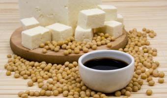 Four UK universities join forces to search for meat alternatives
