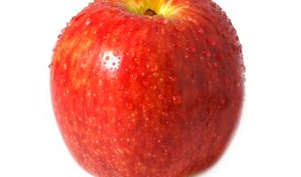 Research reveals school pupils behave better thanks to free fruit & veg 