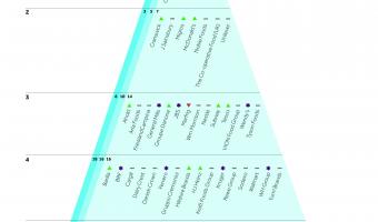 Business Benchmark on Farm Animal Welfare, Pyramid Diagram, images