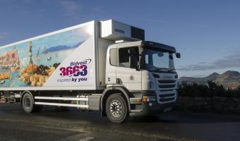 Bidvest 3663, AIP Group of Companies, 