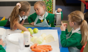 Families stronger healthy living role models than celebrities – BNF research fin