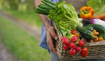 NHS Supply Chain launches new fresh food and food-to-go framework tender