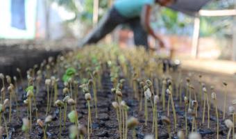 Sodexo hosts Fairtrade coffee farmer