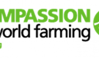 Focus on foodservice at Compassion in World Farming awards