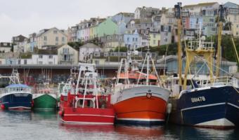 Report shows UK seafood imports & exports on rise