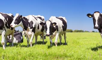 National Farmers Union educates schoolchildren 