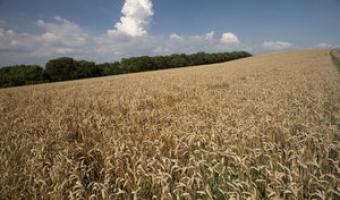 Vacherin in support of government’s Great British Food Unit