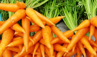 carrots Fun Friday Food Facts, Vol. 34