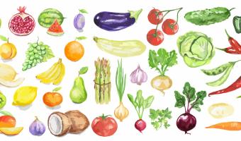 University research project aiming to explore improving public procurement   