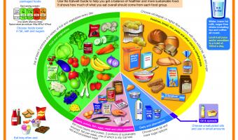 Public Health England launches new Eatwell Guide