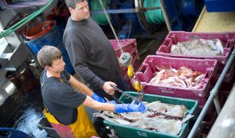 Elior reduces carbon footprint by 59%