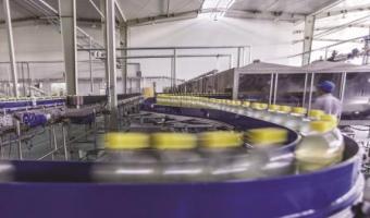 Nottingham Trent University masters degree food industry management business