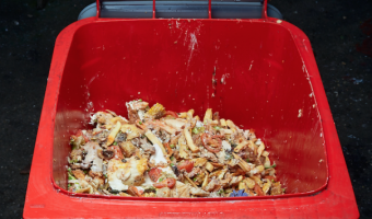Food waste 